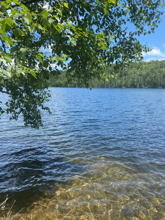 Chalet 5 – Pourvoirie Lac Dumoulin