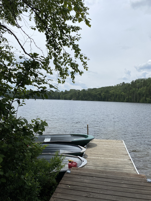 Chalet 1 – Pourvoirie Lac Dumoulin